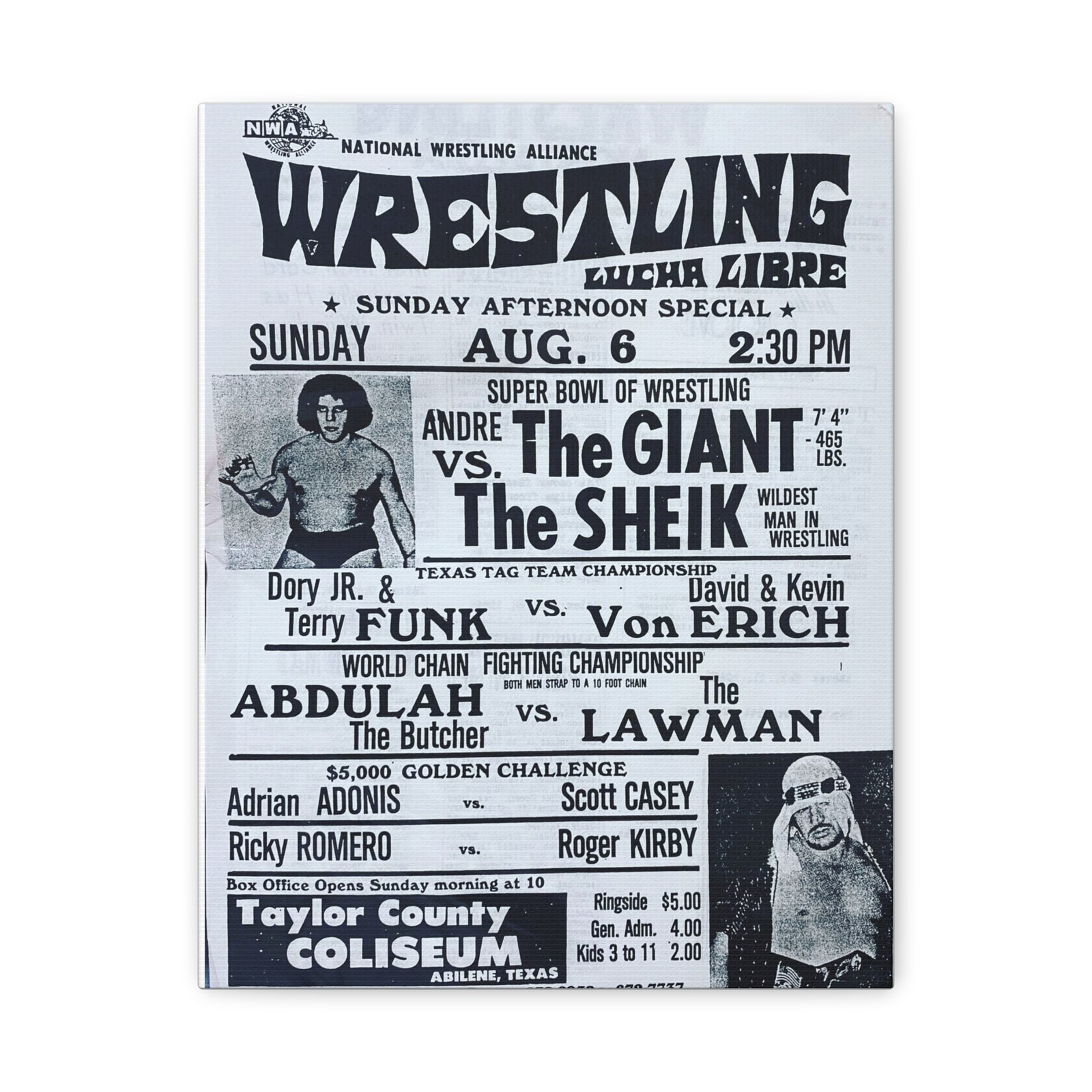 🏆 Throwdown Theatre Presents: Wrestling Legends 12x18 Stretched Canvas 🏆